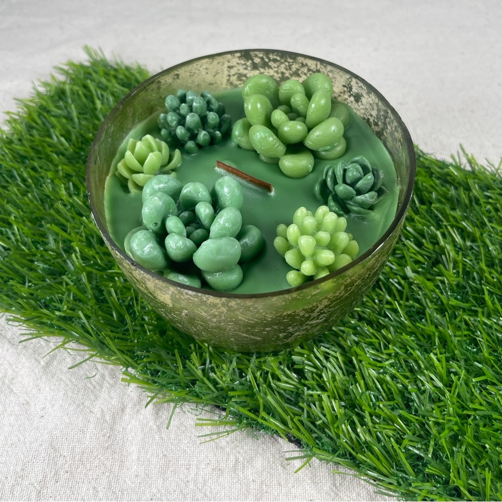 NWT Green  Succulent Terrarium  Candle